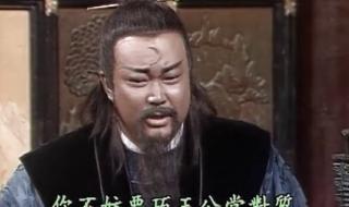 真假包青天