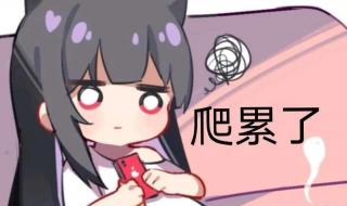 原神舅舅党